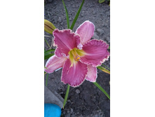 0-02-04-1e6151b819c62e00119e33fcd4f86c024b0410d214948c1924083f293ff536d3 full.jpg