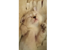 IMG 20190808 233049.jpg