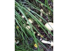 IMG 20190817 150542.jpg