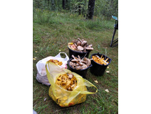 IMG 20190817 132300.jpg