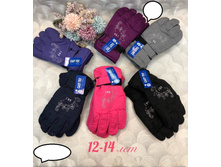 355� 12-14 ���.jpg