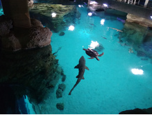 IMG 20190816 103824.jpg