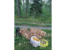 IMG 20190820 185918.jpg