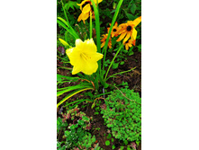 IMG 20190818 142116.jpg