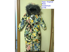 Image7(1).jpeg