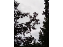 IMG 20190821 122651.jpg