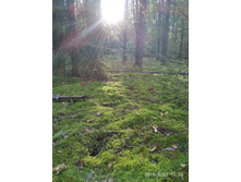 IMG 20190820 173043 1.jpg