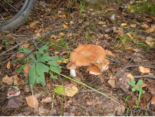 DSCN1492.JPG