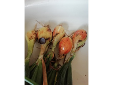 IMG 20190802 100754.jpg