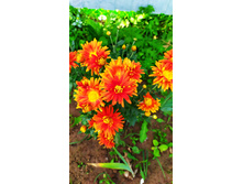 IMG 20190818 142057 1.jpg