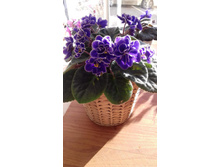 5b1389288e039 image 12.jpg