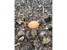 IMG 20190824 111621.jpg