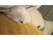 IMG 20190812 224059 (1).jpg