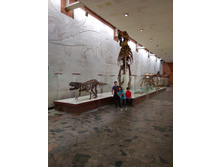 IMG 20190817 113317.jpg