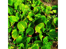 IMG 20190821 104538.jpg