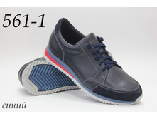 561-1 �����.jpg