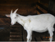 DSCN1509.JPG