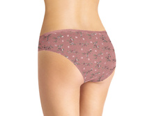 CLE B657� ����� ���.(�����.)