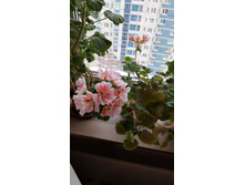 2. ��������� ����