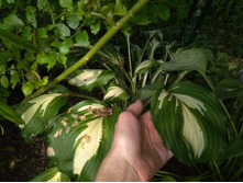 ����� ��������� ������������