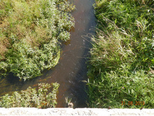 DSCN1462.JPG