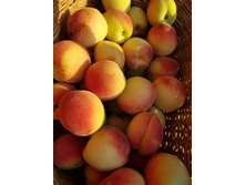 ������ �������� 2019