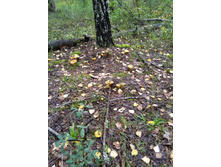 IMG 20190817 121712 1.jpg