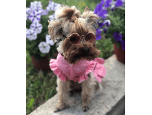 IMG 20190801 145708.png