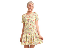 CLE LDR29-738 ������ ���.(�̣�