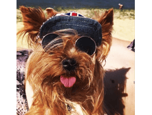 IMG 20190801 145654.png