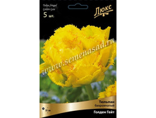 ������� ����������� ������ ���� - � �������� 3�� 294�+%.jpeg