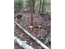 IMG 20190824 111609 1.jpg