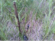 IMG 20190808 131342.jpg