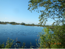 DSCN1459.JPG