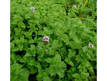 ����  ��������