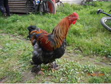 DSCN1506.JPG