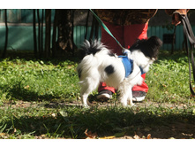 DSC01258.JPG