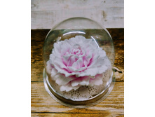 ���� � ������