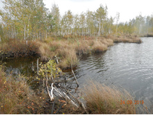 DSCN2397.JPG