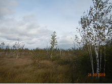 DSCN2384.JPG