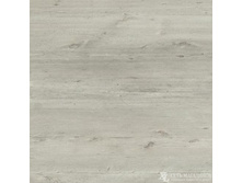 sosna sredne**vekovaya.jpg