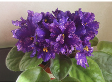 ��-���� ��������� �����������.jpg