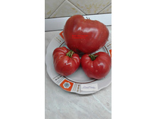 ������� �� ������