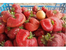 �������� ������ ������ ���-����� 89��� (�������� 8��).jpg