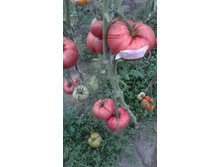 ������������