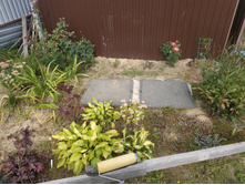 IMG 20190908 120137.jpg