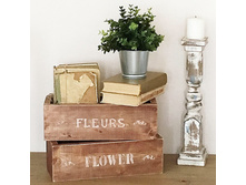 ����� � ����������