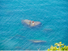 ������� ���� �� ��������.