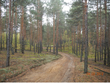 DSCN2430.JPG
