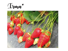 �������� ���� ���-����� 86��� (�������� 1��).jpg